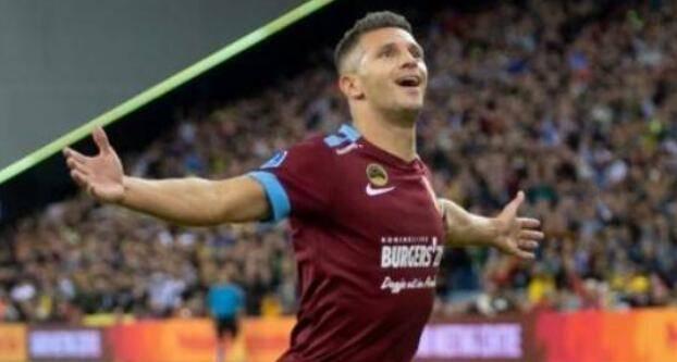 黑方连用柏 黑方连用柏