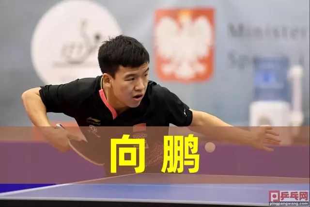 疑是奥斯卡 疑是奥斯卡
