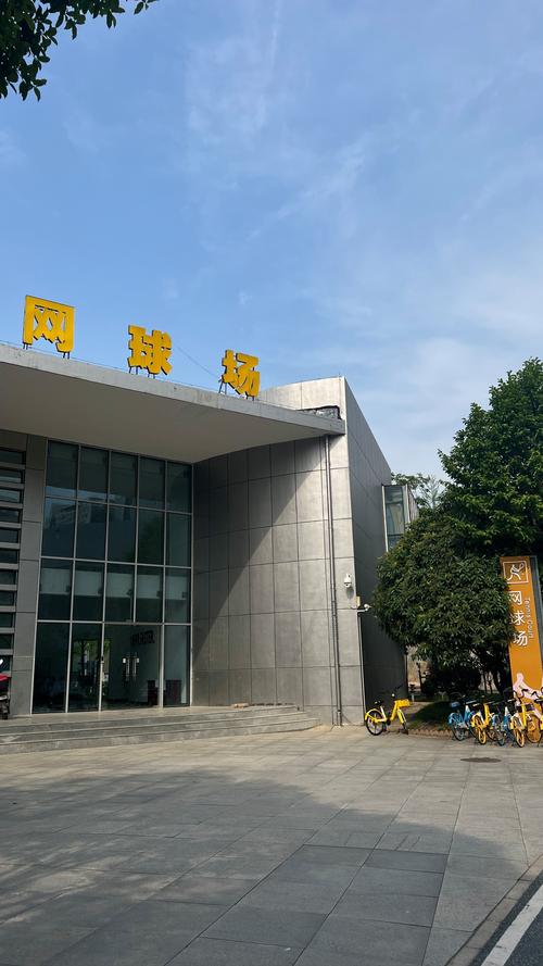 球这项运动